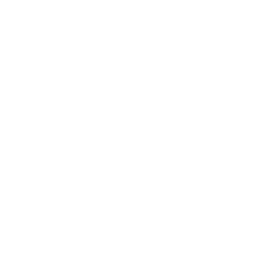 VGMP client Fox Sports' logo