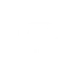VGMP client Hyundai's logo