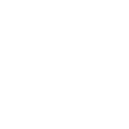 VGMP client Technika Solution's logo