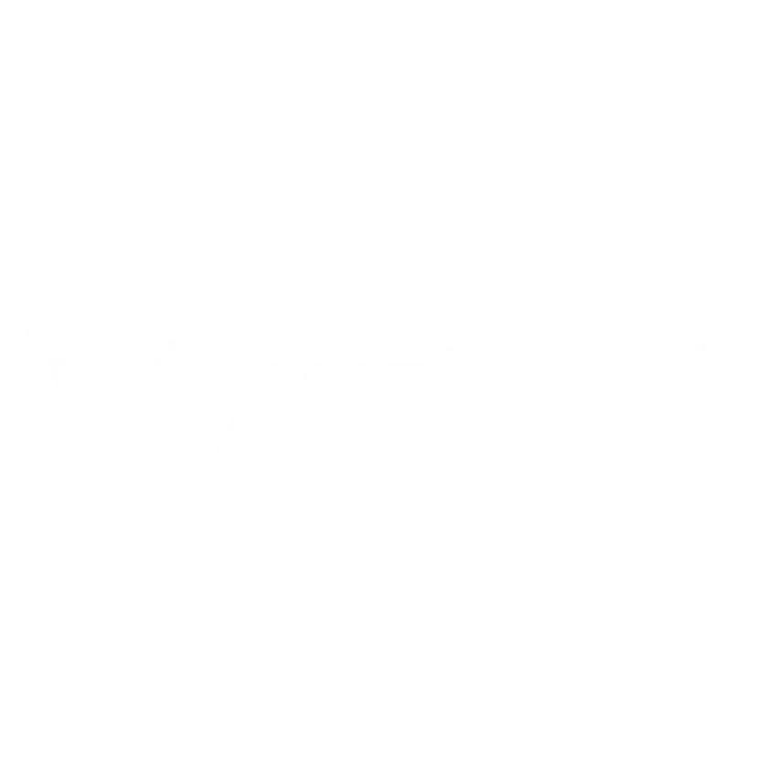 VGMP client Web Tech logo